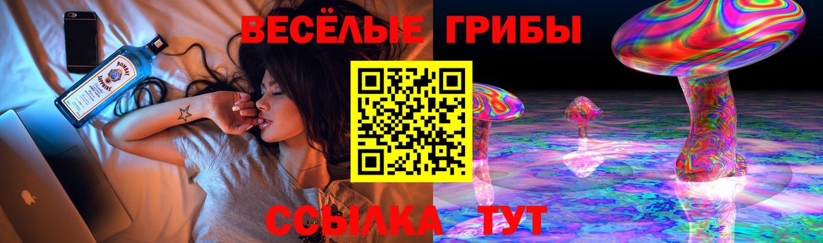 Псилоцибиновые грибы Magic Shrooms  магазин продажи   Новоалтайск  Вход с VPN 